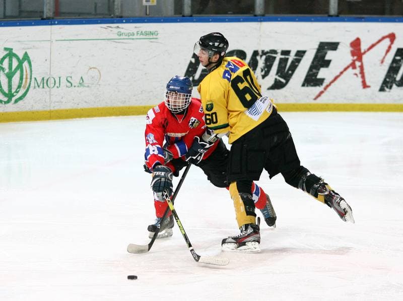 Ice Hockey. Tauron Hokej Liga. HC GKS Katowice - Polonia Bytom. 02.01.2015