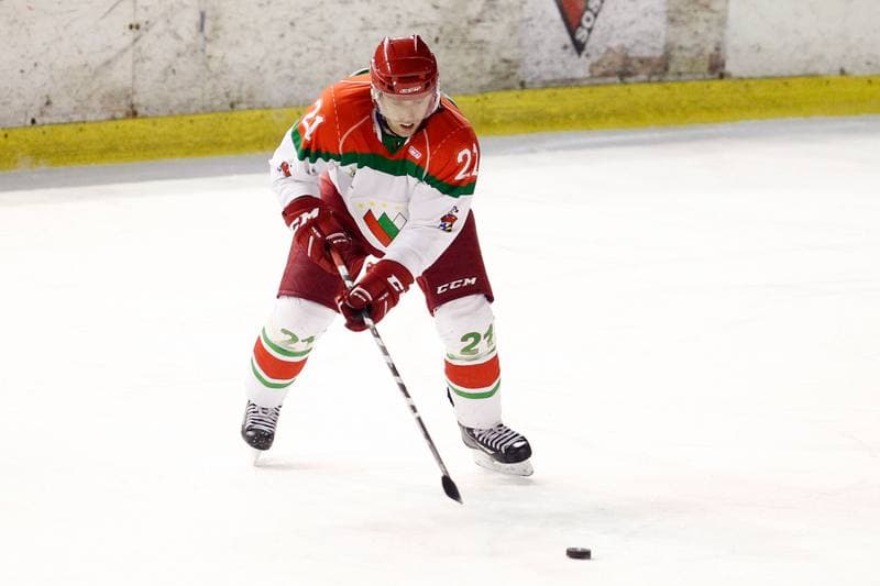 Ice Hockey. I Liga. Zaglebie Sosnowiec - UKH Debica. 18.02.2017