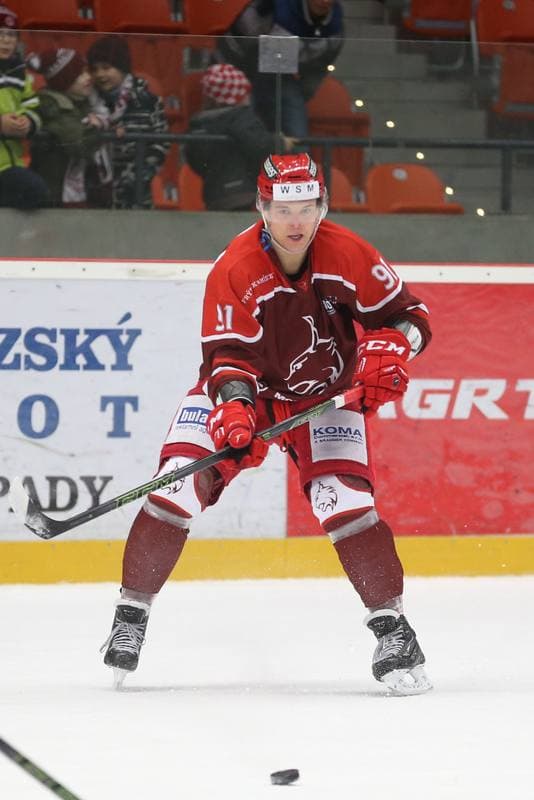 Ice Hockey. WSM Liga. HC Frydek-Mistek - HC Benatky nad Jizerou. 20.02.2017