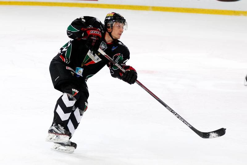 Ice Hockey. Tauron Hokej Liga. Tauron KH GKS Katowice - GKS Tychy. 25.02.2017