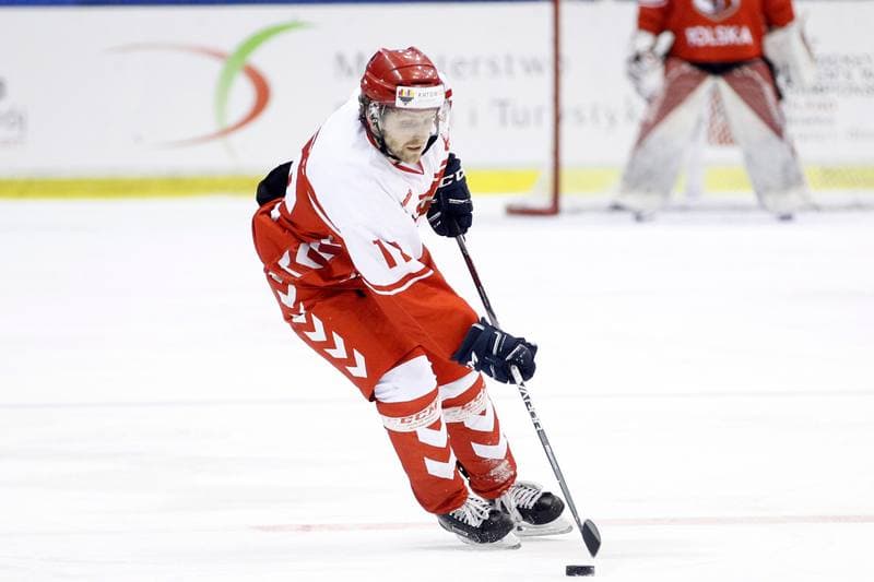 Ice Hockey. International Friendly Match. Poland - Slovakia B. 07.04.2017