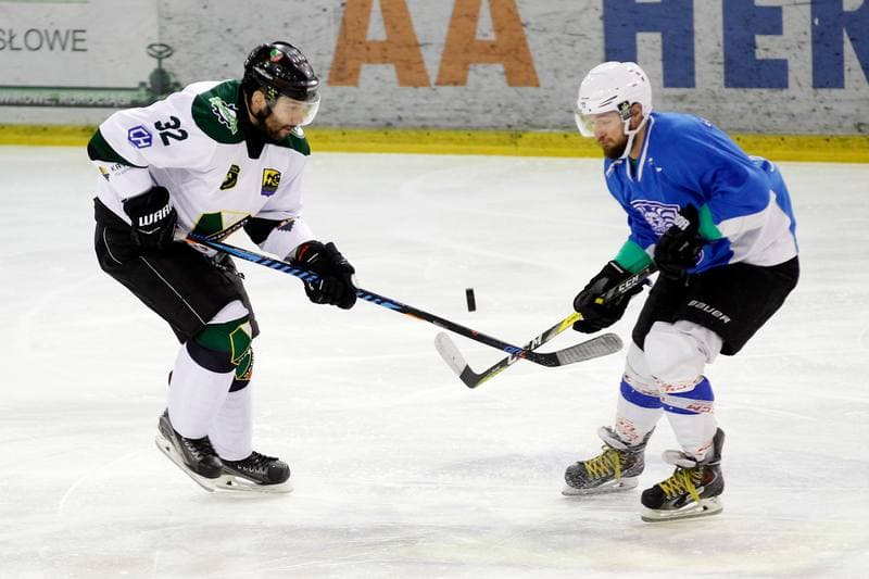 Ice Hockey. I Liga. Naprzod Janow - Hokej Poznan. 18.02.2017