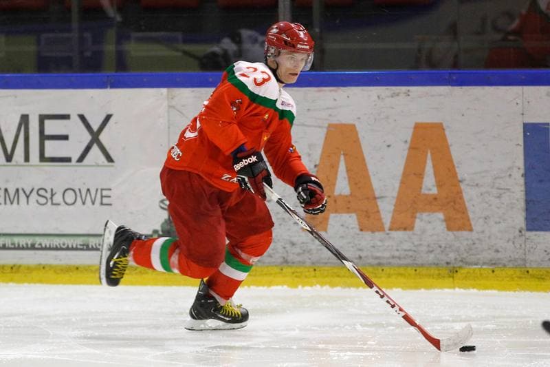 Ice Hockey. I Liga. Naprzod Janow - Zaglebie Sosnowiec. 12.03.2017