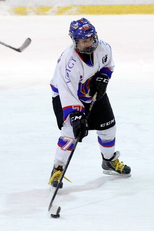 Ice Hockey. PLHK. Polonia Bytom - Atomowki Tychy. 27.01.2017