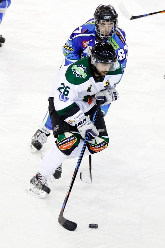 Ice Hockey. I Liga. Naprzod Janow - UKH Debica. 12.02.2017