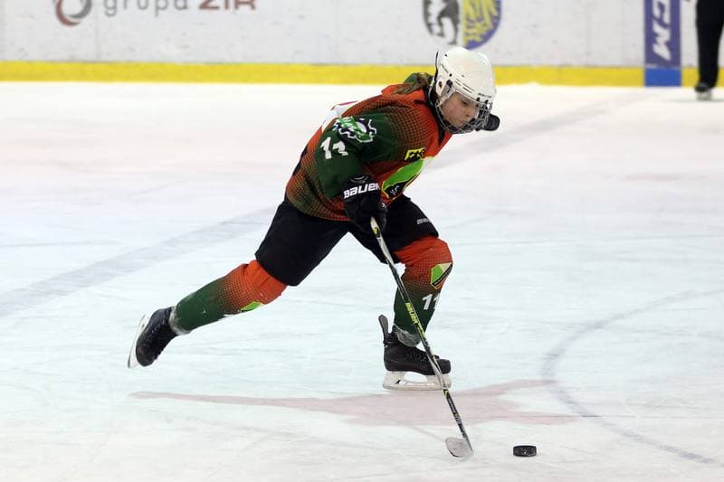 Ice Hockey. PLHK. Polonia Bytom - Naprzod Janow. 03.03.2018