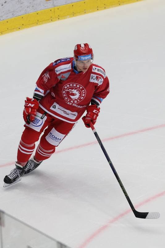 Ice Hockey. Tipsport Extraliga. Ocelari Trinec - HC Vitkovice Ridera. 24.10.2017