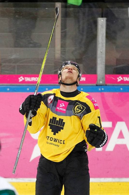 Ice Hockey. Tauron Hokej Liga. Tauron KH GKS Katowice - Anteo Naprzod Janow. 02.02.2018