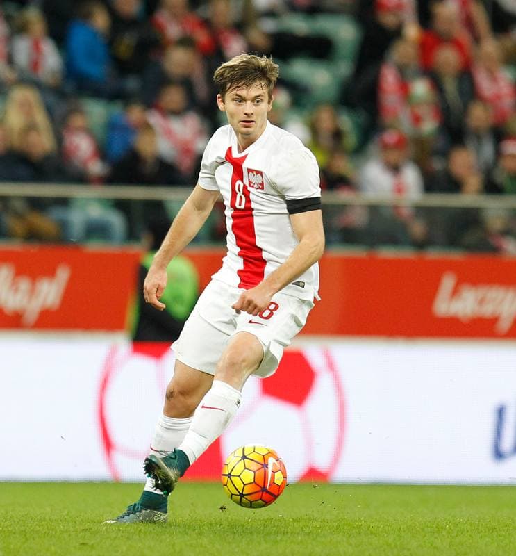 Football. International Friendly. Poland - Czech Republic. 17.11.2015