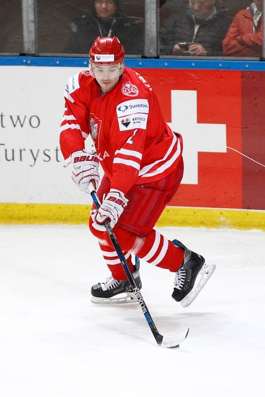 Ice Hockey. EIHC. Kazakhstan - France. 17.12.2015