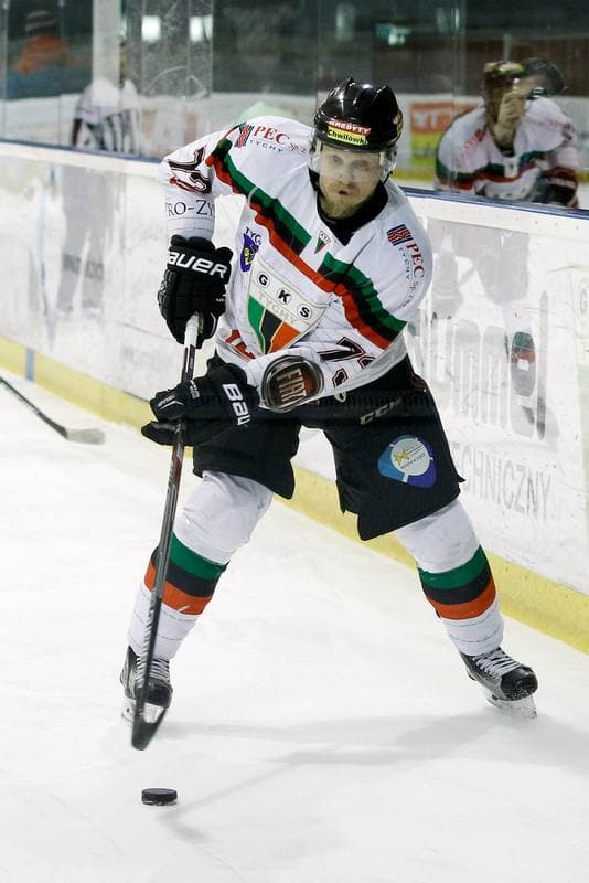 Ice Hockey. Polska Hokej Liga. GKS Tychy - Ciarko STS Sanok. 15.01.2016