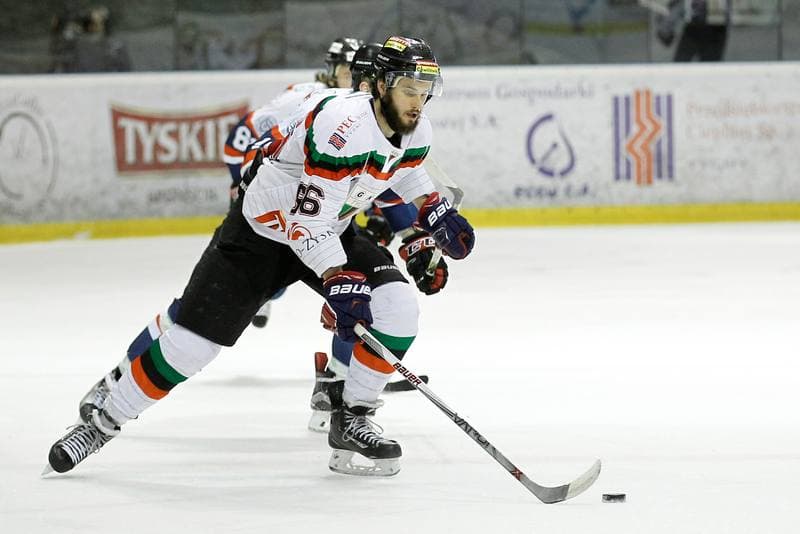 Ice Hockey. Polska Hokej Liga. GKS Tychy - Ciarko STS Sanok. 15.01.2016