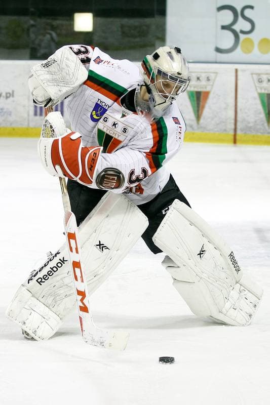 Ice Hockey. Polska Hokej Liga. GKS Tychy - Ciarko STS Sanok. 15.01.2016