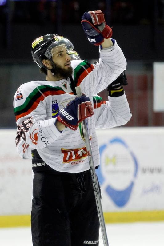 Ice Hockey. Polska Hokej Liga. GKS Tychy - Ciarko STS Sanok. 15.01.2016