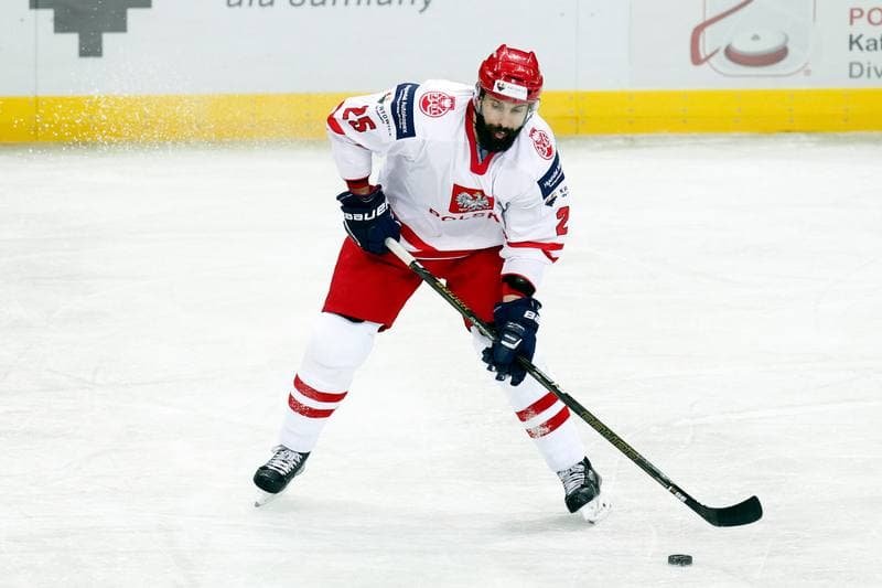 Ice Hockey. Friendly Match. Poland - Stars of PHL. 06.02.2016