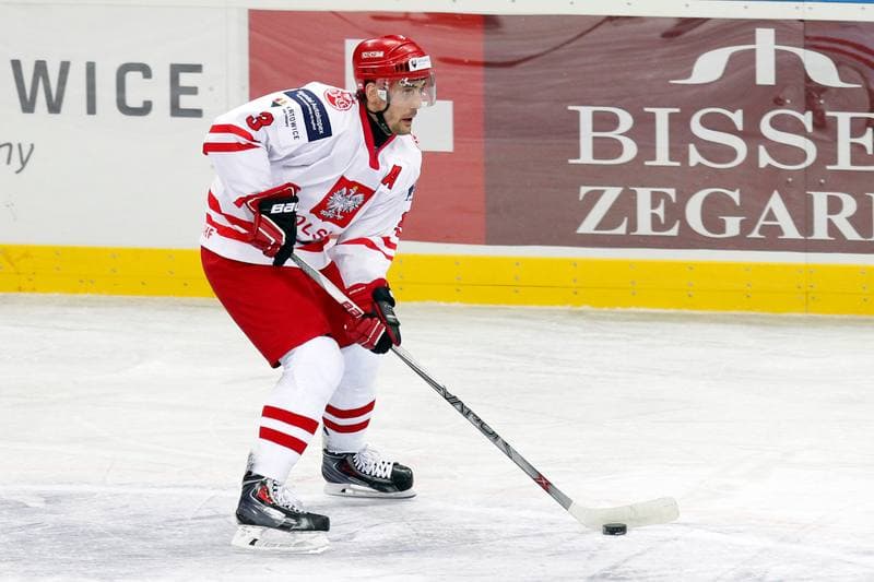 Ice Hockey. Friendly Match. Poland - Stars of PHL. 06.02.2016