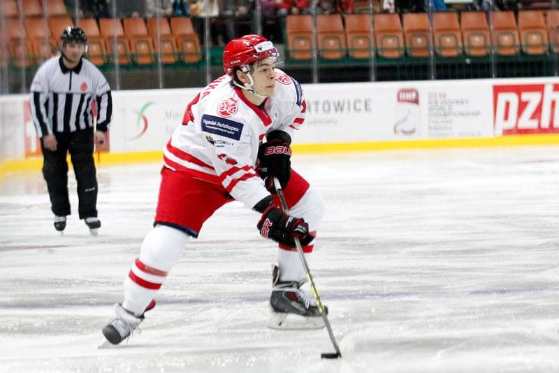 Ice Hockey. Friendly Match. Poland - Stars of PHL. 06.02.2016