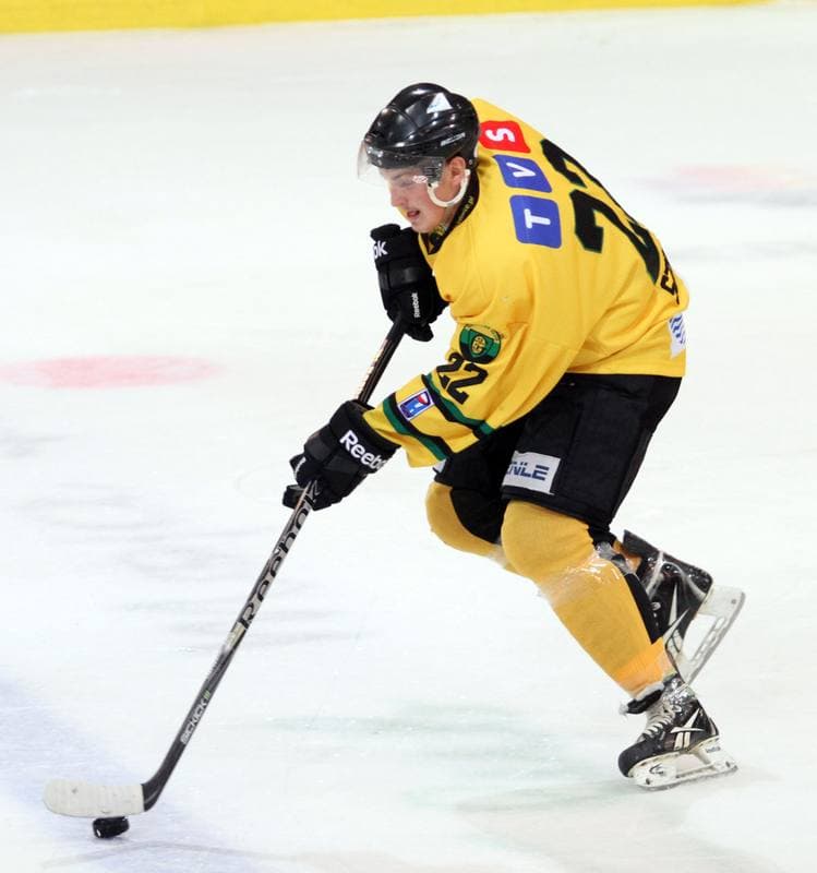 Ice Hockey. Polska Hokej Liga. HC GKS Katowice - Comarch Cracovia Krakow. 15.10.2013