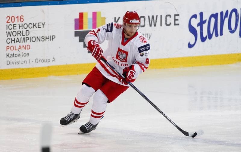 Ice Hockey. International Friendly Match. Poland - Lithuania. 14.04.2016