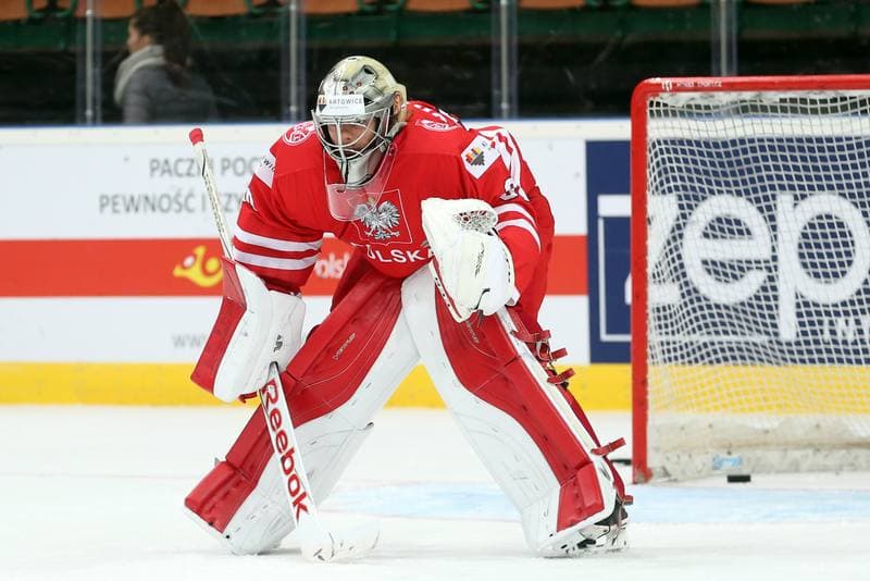 Ice Hockey. World Championship Division 1A. Poland - Korea. 24.04.2016