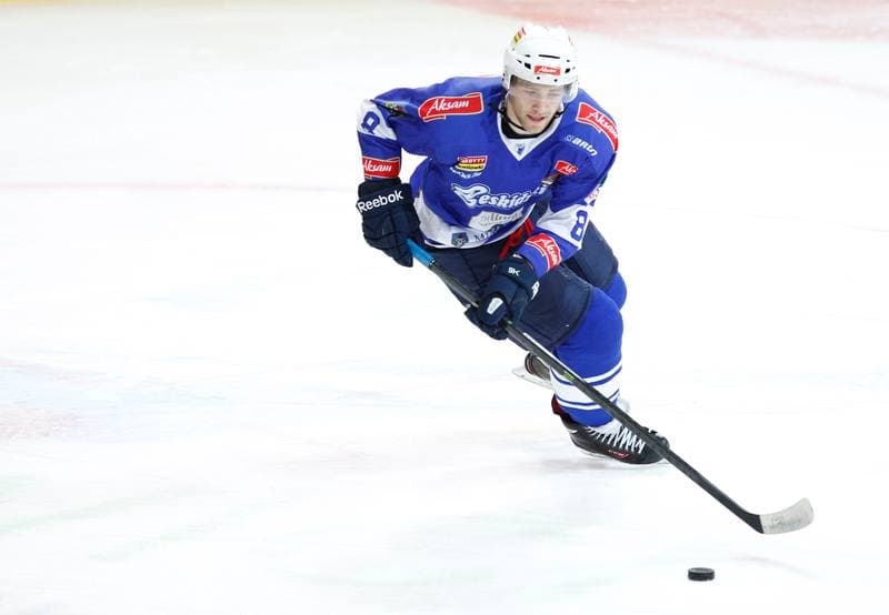 Ice Hockey. Polska Hokej Liga. HC GKS Katowice - Aksam Unia Oswiecim. 10.01.2014