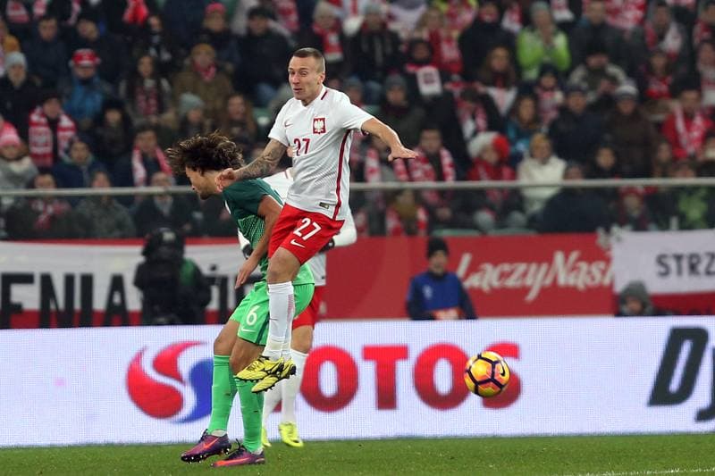 Football. International Friendly Match. Poland - Slovenia. 14.11.2016