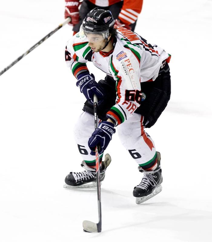 Ice Hockey. Polska Hokej Liga. GKS Tychy - Comarch Cracovia Krakow. 19.01.2014