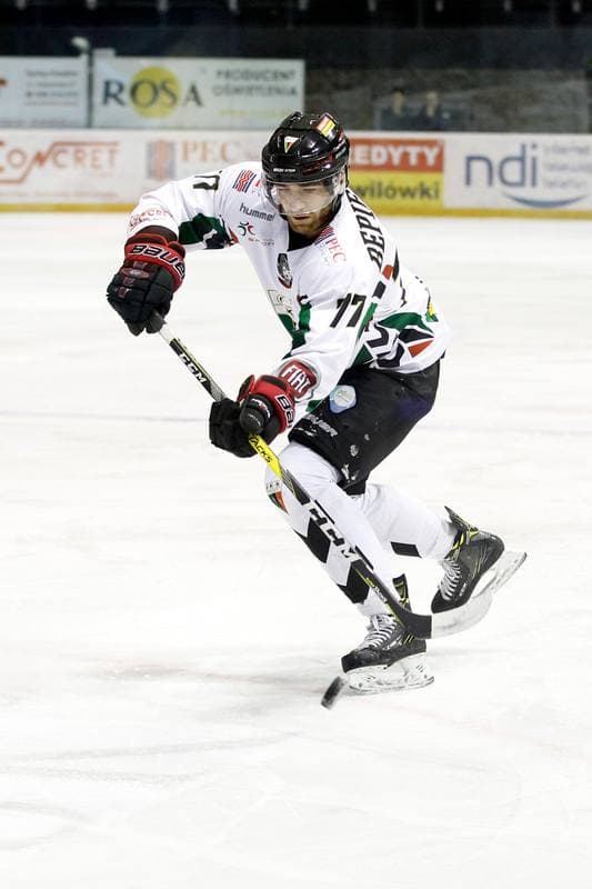 Ice Hockey. Polska Hokej Liga. GKS Tychy - Tempish Polonia Bytom. 06.12.2016