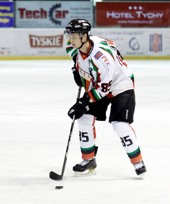 Ice Hockey. Polska Hokej Liga. GKS Tychy - Ciarko KH Sanok. 23.01.2015