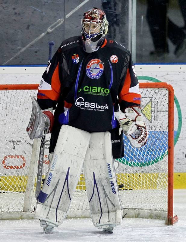 Ice Hockey. Polska Hokej Liga. GKS Tychy - Ciarko KH Sanok. 23.01.2015