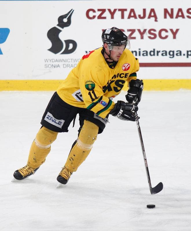 Ice Hockey. Tauron Hokej Liga. HC GKS Katowice - Polonia Bytom. 02.01.2015