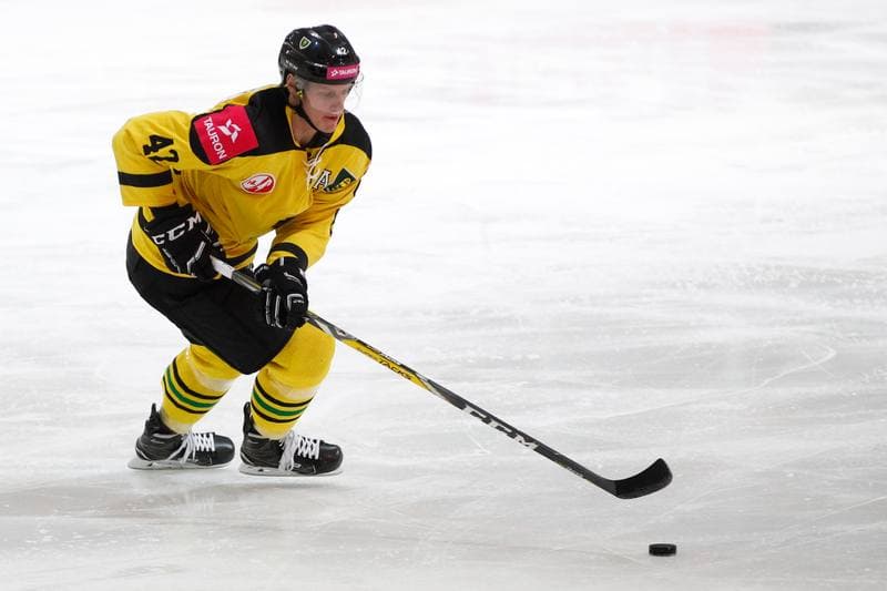 Ice Hockey. PHL. KH Tauron GKS Katowice - SMS PZHL Sosnowiec. 13.01.2017