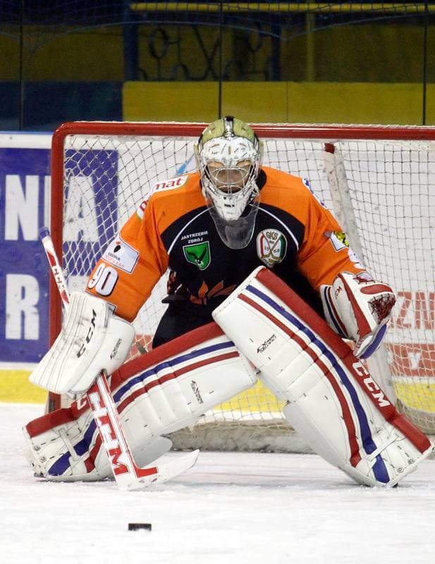 Ice Hockey. Polska Hokej Liga. Polonia Bytom - JKH GKS Jastrzebie. 14.12.2014
