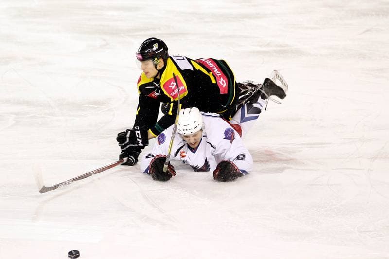 Ice Hockey. Polska Hokej Liga. SMS PZHL Sosnowiec - Tauron KH GKS Katowice. 31.01.2017