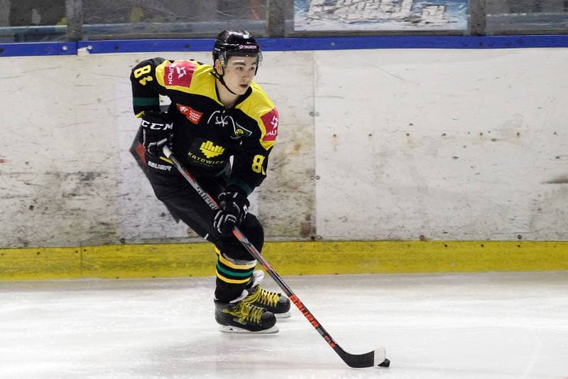 Ice Hockey. Polska Hokej Liga. SMS PZHL Sosnowiec - Tauron KH GKS Katowice. 31.01.2017