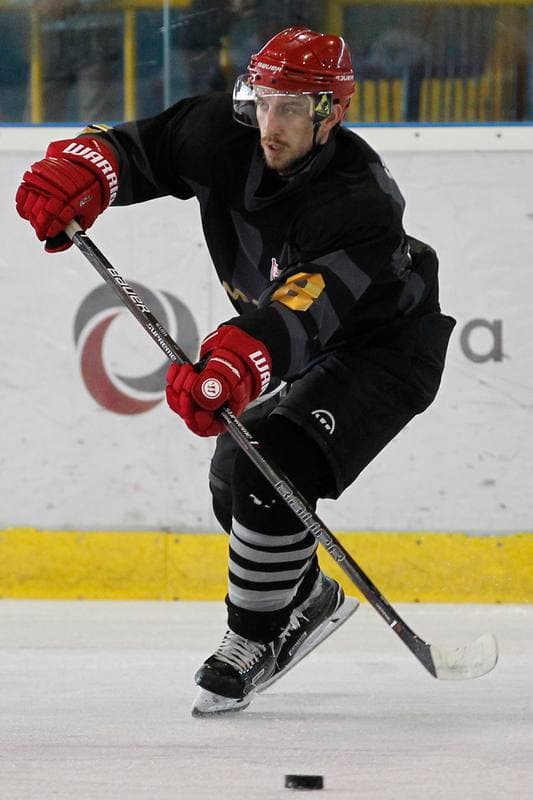 Ice Hockey. Sparing. Polonia Bytom - Comarch Cracovia. 15.08.2017