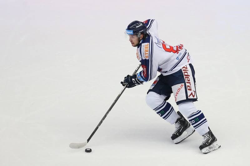 Ice Hockey. Tipsport Extraliga. Ocelari Trinec - HC Vitkovice Ridera. 24.10.2017