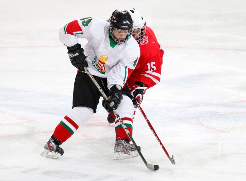 Ice Hockey. Women's International Friendly. Poland - Hungary. 18.01.2014