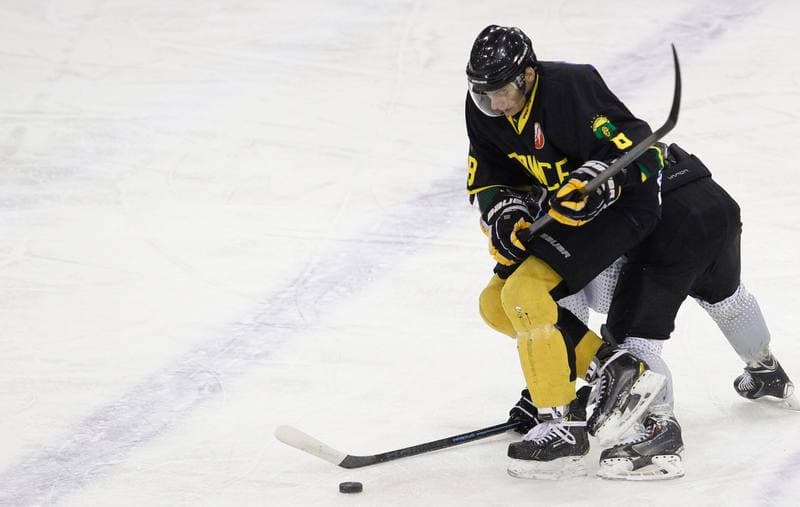 Ice Hockey. Polska Hokej Liga. Naprzod Janow - HC GKS Katowice. 06.01.2015