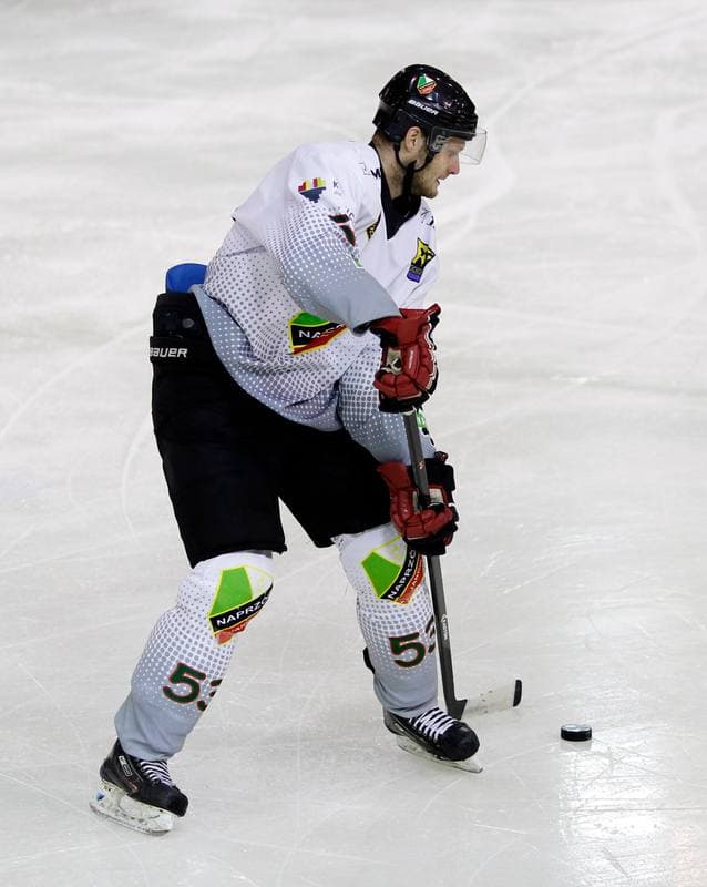 Ice Hockey. Polska Hokej Liga. Naprzod Janow - Ciarko KH Sanok. 18.01.2015