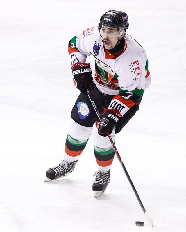Ice Hockey. Polska Hokej Liga. GKS Tychy - JKH GKS Jastrzebie. 30.11.2014