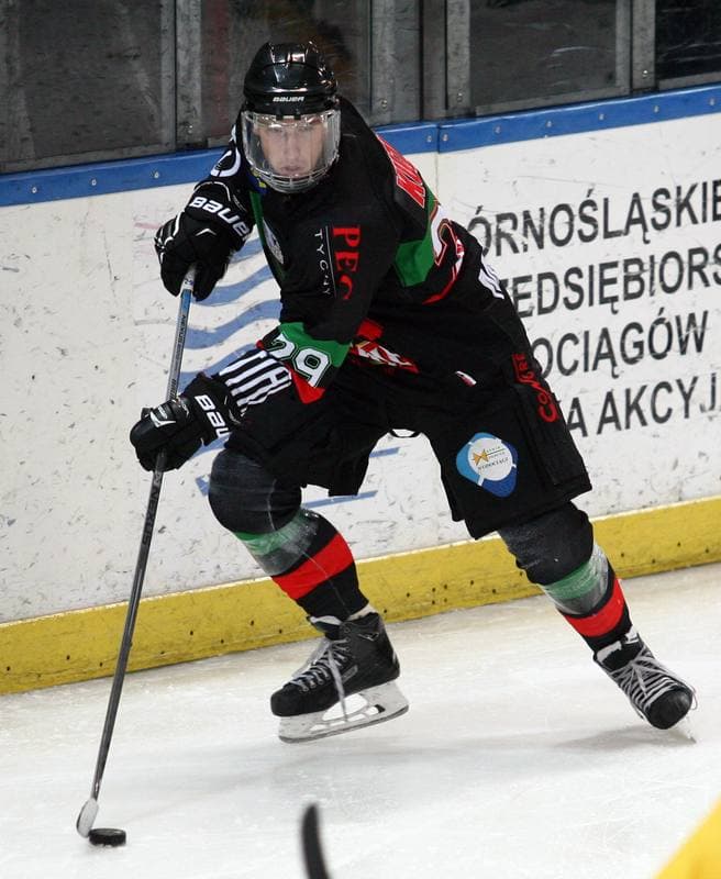 Ice Hockey. Polska Hokej Liga. HC GKS Katowice - GKS Tychy. 11.01.2015