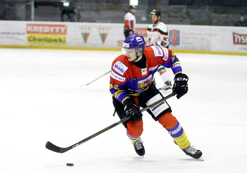 Ice Hockey. Polska Hokej Liga. GKS Tychy - Tatryski Podhale Nowy Targ. 01.03.2016