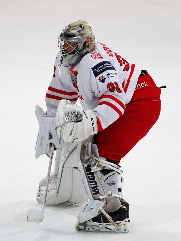 Ice Hockey. International Friendly Match. Poland - Lithuania. 14.04.2016