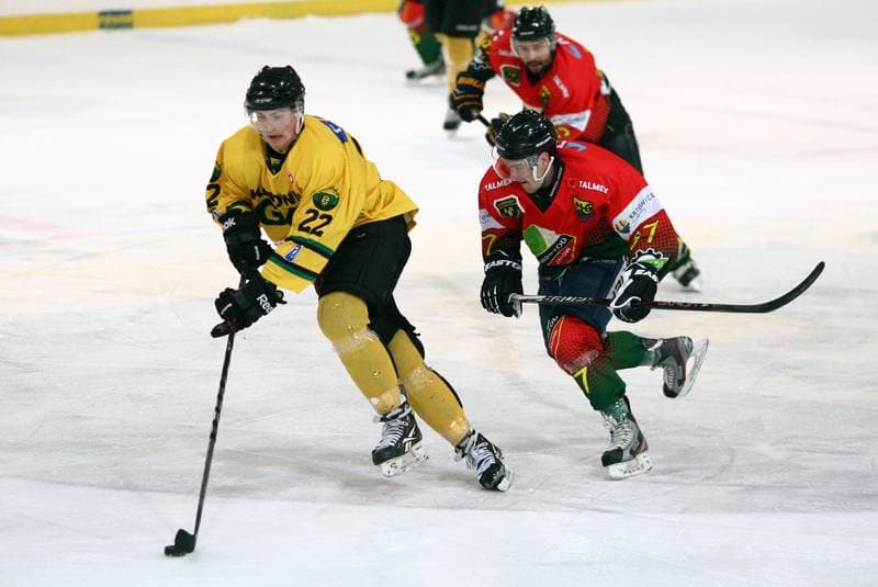 Ice Hockey. Polska Hokej Liga. HC GKS Katowice - Naprzod Janow. 10.02.2015