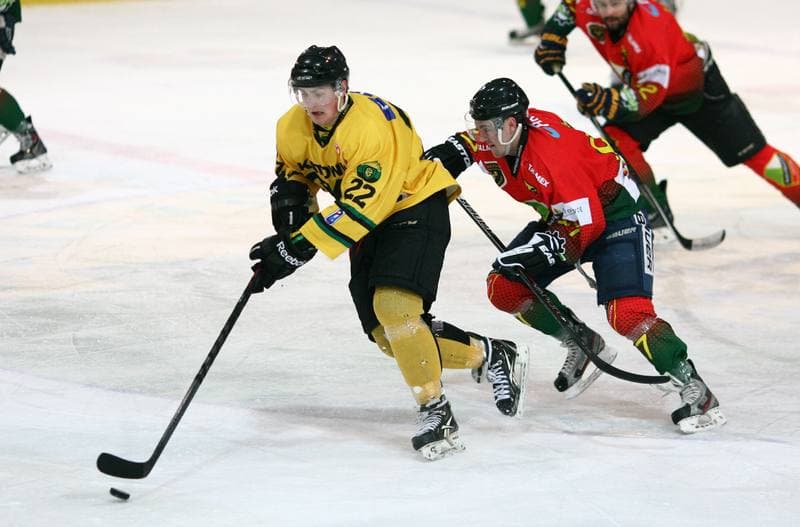 Ice Hockey. Polska Hokej Liga. HC GKS Katowice - Naprzod Janow. 10.02.2015