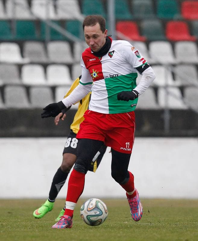 Football. Friendly Match. Zaglebie Sosnowiec - Sandecja Nowy Sacz. 25.02.2015