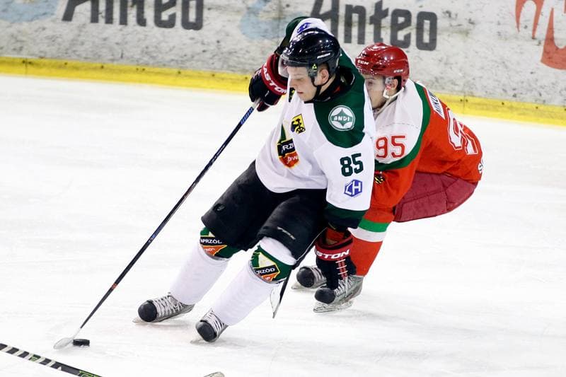 Ice Hockey. I Liga. Naprzod Janow - Zaglebie Sosnowiec. 22.01.2017