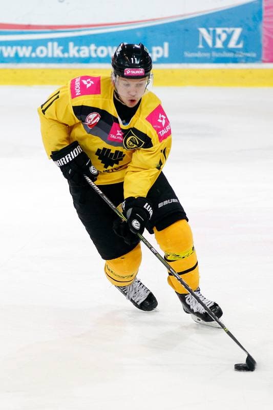 Ice Hockey. Polska Hokej Liga. Tauron KH GKS Katowice - Polonia Bytom. 24.11.2017