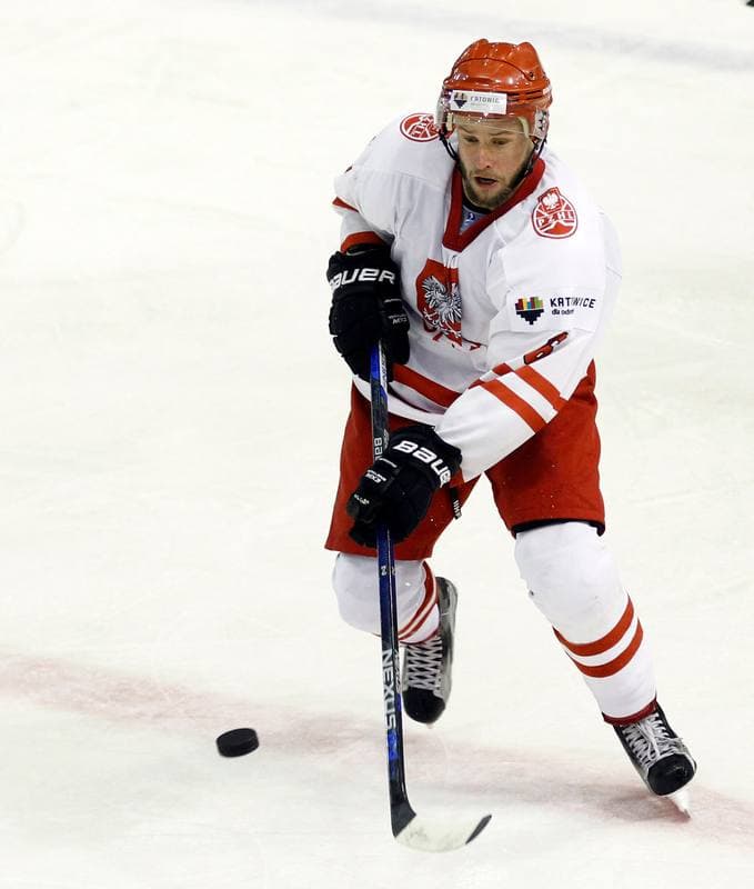 Ice Hockey. Euro Ice Hockey Challenge. Poland - Slovenia. 05.11.2015